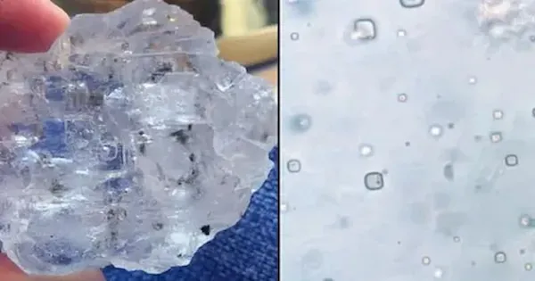 خرید نمک آبی اصل + بهترین قیمت خرید